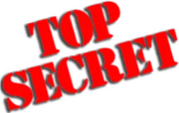 Logo Top Secret