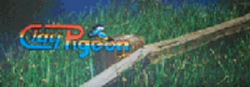 Clay Pigeon