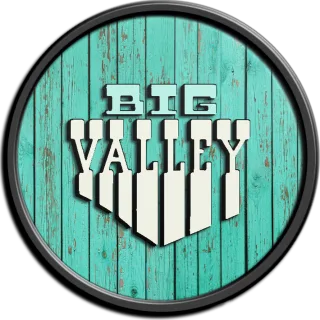 Logo Big Valley